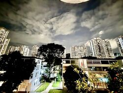 Blk 33 Lim Liak Street (Bukit Merah), HDB 3 Rooms #529215961